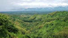 বান্দরবানে কেএনএফের ৩ সদস্য ও গাড়িচালক আটক