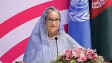 যুদ্ধ অবশ্যই বন্ধ হওয়া উচিত: প্রধানমন্ত্রী