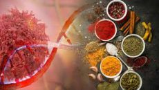 ভারতীয় ৫২৭ খাদ্যপণ্যে বিষ: ইউরোপে নিষিদ্ধ