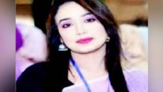 স্বামীকে ভিডিও কলে রেখে ফাঁস নিলেন স্ত্রী