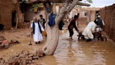আফগানিস্তানে বন্যায় ব্যাপক ক্ষয়ক্ষতি, নিহত ১৬