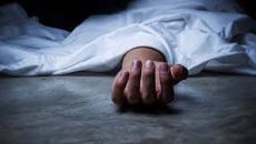 যাত্রাবাড়ীর ঝোপে মিলল হাত বাঁধা অবস্থায় যুবকের মরদেহ