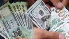 ২৪ দিনে রেমিট্যান্স এলো ১৭৯ কোটি ডলার