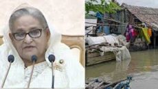 মানুষের পাশে দাঁড়াতে নেতা-কর্মীদের নির্দেশ দিলেন প্রধানমন্ত্রী