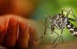 ডেঙ্গু আক্রান্ত হয়ে আরও একজনের মৃত্যু