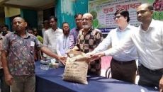 মাগুরায় কৃষকের মাঝে বিনামূল্যে বীজ ও সার বিতরণ 