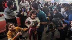 গাজায় ইসরায়েলি হামলায় আরও ৩৯ ফিলিস্তিনি নিহত