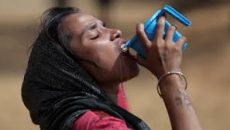 ৫০ ডিগ্রি সেলসিয়াস তাপমাত্রায় পুড়ছে উত্তর ভারত