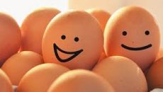 ডিমের হালি ৫৫ টাকা, সবজিতেও নেই স্বস্তি