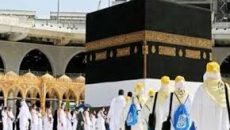 হজ পালনে সৌদিতে পৌঁছেছেন প্রায় ৫০ হাজার হজযাত্রী