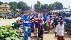 রাজশাহীর বৃহত্তম বানেশ্বর আমের হাট আম শূন্য