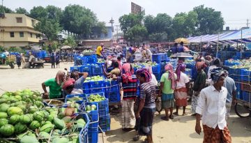 রাজশাহীর বৃহত্তম বানেশ্বর আমের হাট আম শূন্য