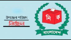 উপজেলা নির্বাচন: দ্বিতীয় ধাপে বেসরকারি ফলে জয়ী হলেন যারা