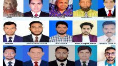 সোহেল বিল্লাহ্ কাজল সভাপতি – নুর উদ্দিন সাধারণ সম্পাদক পিরোজপুর সাংবাদিক ইউনিয়ন-পিউজে কমিটি গঠন