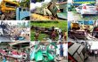 ঈদযাত্রায় ১৩ দিনে ২৬২ জন নিহত