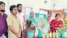 সোনারগাঁও প্রেস ক্লাবে শখ ও সানন্দার মতবিনিময় ও গাছ বিতরণ