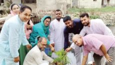 যাত্রাবাড়ী সরণি খাল দৃষ্টিনন্দন করার দাবি সবুজ আন্দোলনের