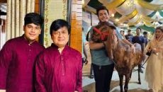 সাদিক অ্যাগ্রোকে অগ্রিম দেয়া ১১ লাখ টাকার দাবি ছেড়ে দিলেন ইফাত