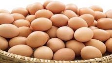 ডিমের দামে রেকর্ড