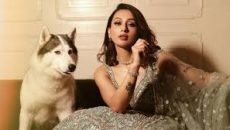 খুনসুটি করতে গিয়ে ‘ক্ষতবিক্ষত’ মিমি চক্রবর্তী