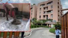 সেপটিক ট্যাংক থেকে পাওয়া মাংস মানুষের: কলকাতা ফরেনসিক বিভাগ