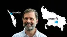 দুই আসনে বিশাল জয় নিয়ে তাক লাগালেন রাহুল