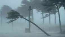 চার অঞ্চলে ৬০ কিমি বেগে ঝড়ের আভাস