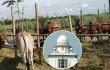 আফতাবনগরে গরুর হাট হাট বসানো যাবে না: হাইকোর্ট