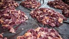 কোরবানির মাংস নিয়ে সংঘর্ষ, নারীসহ আহত ১০