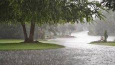 দুপুরের মধ্যে যেসব জেলায় ৬০ কিমি বেগে ঝড়ের শঙ্কা