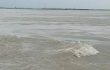 পাহাড়ি ঢলে আবারও বাড়ছে তিস্তার পানি