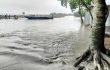 গাইবান্ধায় তিস্তার পানি বিপৎসীমা ছুঁই ছুঁই করছে