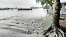 গাইবান্ধায় তিস্তার পানি বিপৎসীমা ছুঁই ছুঁই করছে