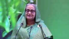 বিভিন্ন ফ্লেভারে চা বাজারজাত করার তাগিদ দিলেন প্রধানমন্ত্রী