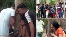 কথা বলছে গাছ, কান শুনছে মানুষ!