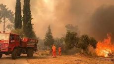 তুরস্কে দাবানল: নিহত ১২, আহত ৭৮ জনের বেশি