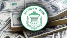 ১৪ দিনে রেমিট্যান্স এসেছে ১৬৪ কোটি ডলার
