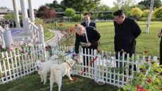 পুতিনকে এক জোড়া কুকুর উপহার দিলেন কিম