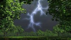 সারাদেশে বজ্রপাতে প্রাণ গেল ১১ জনের