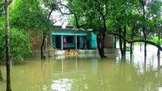 সিলেটে বন্যা পরিস্থিতির অবনতি, পানিবন্দি সাড়ে ১২ লাখ মানুষ