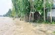 তিস্তার পানি বিপৎসীমার কাছাকাছি, শঙ্কায় তীরবর্তী মানুষ
