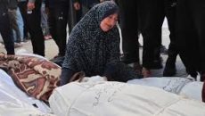 গাজায় গত ২৪ ঘন্টায় ইসরায়েলি হামলায় নিহত আরও ৪০