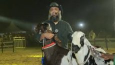 উচ্ছেদ হচ্ছে ছাগলকাণ্ডে আলোচিত সেই সাদিক অ্যাগ্রো