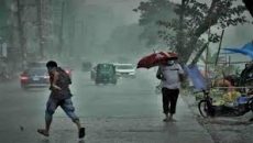 বৃষ্টি নিয়ে যা জানাল আবহাওয়া অফিস