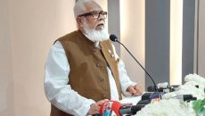 চলতি বছরে ঘুরে দাঁড়াচ্ছে দেশের অর্থনীতি: সালমান এফ রহমান