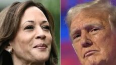 ১০ সেপ্টেম্বরে মুখোমুখি হবেন ট্রাম্প-কমলা