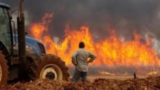 ব্রাজিলে দাবানলে দুই জনের মৃত্যু, ৩০ শহরে উচ্চ সতর্কতা