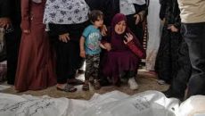 ইসরায়েলি হামলায় আরও ৫০ ফিলিস্তিনি নিহত, মৃতের সংখ্যা ছাড়াল ৪০,২০০