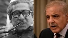 মুজিব তার কৃতকর্মের করুণ পরিণতি ভোগ করেছেন: প্রধানমন্ত্রী শেহবাজ