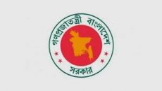 প্রধান উপদেষ্টার বিশেষ সহকারী নিযুক্ত হলেন আব্দুল হাফিজ